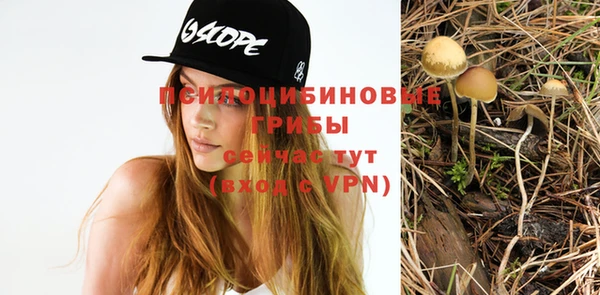 стафф Балабаново