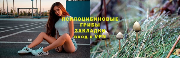 дмт Балахна