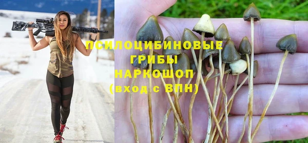 дмт Балахна