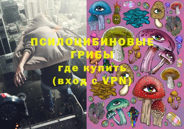дмт Балахна